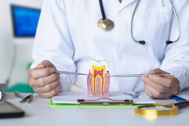 Best Pediatric Emergency Dentist in Cherry Brah, NC